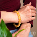 Golden Healer Quartz Bracelet - The Master Reset 🌼 CI643