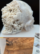 Gray Agate "Bowl" Skull with cluster back FB1190 🐊