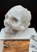 Gray Agate "Bowl" Skull with cluster back FB1190 🐊