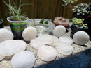 Selenite Etched Round Charging Plates / Bases for crystal grids and display FB1488