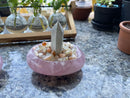 Rose Quartz Large Solid Carved Bowl / Display Piece FB2158