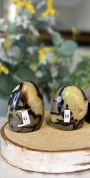 Septarian "Dragon Stone" Free-form FB2000 🌼