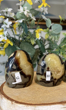 Septarian "Dragon Stone" Free-form FB2000 🌼