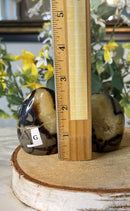 Septarian "Dragon Stone" Free-form FB2000 🌼