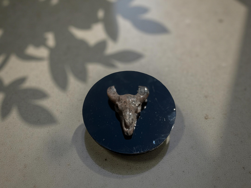 Steer Skulls with Horns, Orange Calcite or Yooperlite FB2313 🧡