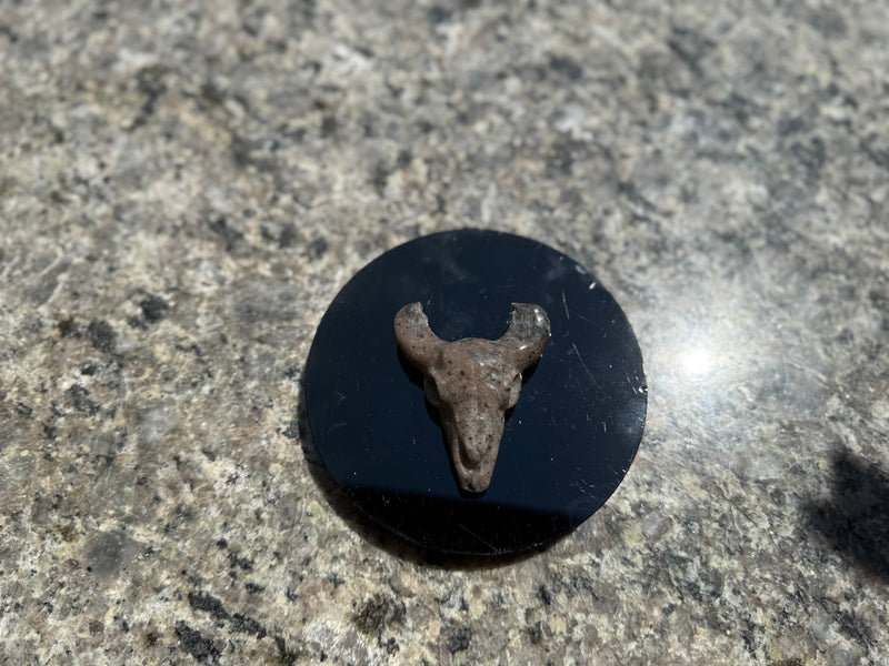 Steer Skulls with Horns, Orange Calcite or Yooperlite FB2313 🧡