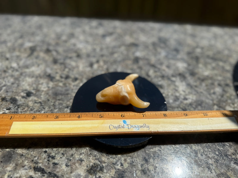 Steer Skulls with Horns, Orange Calcite or Yooperlite FB2313 🧡