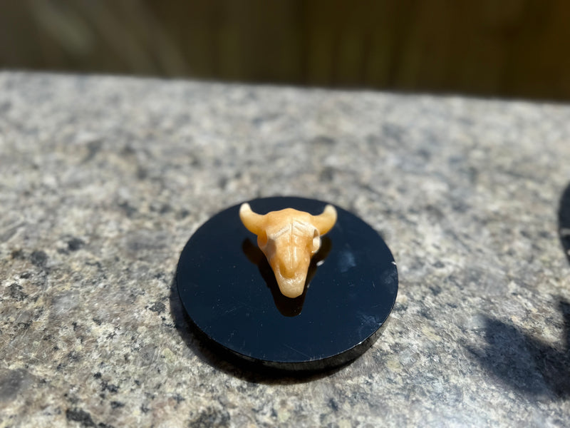 Steer Skulls with Horns, Orange Calcite or Yooperlite FB2313 🧡