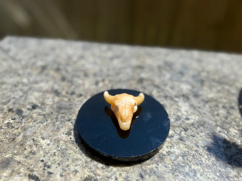 Steer Skulls with Horns, Orange Calcite or Yooperlite FB2313 🧡