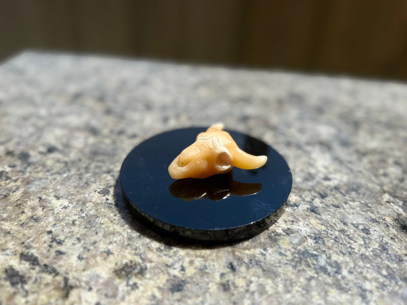 Steer Skulls with Horns, Orange Calcite or Yooperlite FB2313 🧡