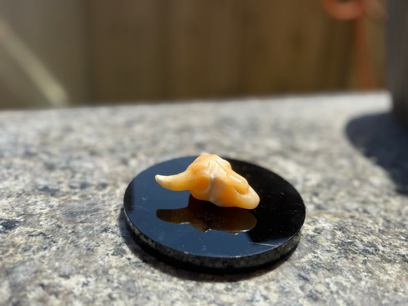 Steer Skulls with Horns, Orange Calcite or Yooperlite FB2313 🧡