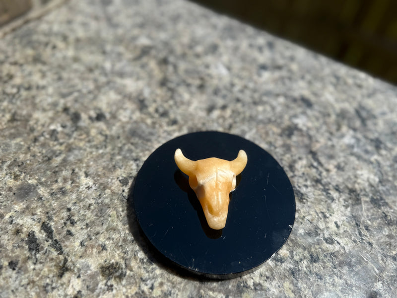 Steer Skulls with Horns, Orange Calcite or Yooperlite FB2313 🧡