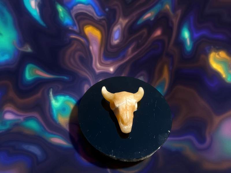 Steer Skulls with Horns, Orange Calcite or Yooperlite FB2313 🧡