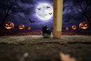 Sodalite Jack O' Lantern Pumpkin FB2701