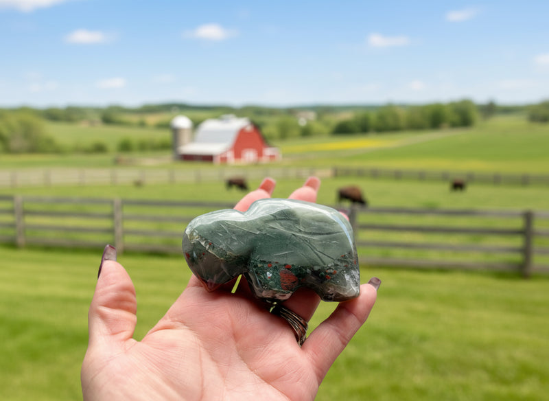 Bloodstone Bison Spirit Stone/ Zuni Bison FB1390