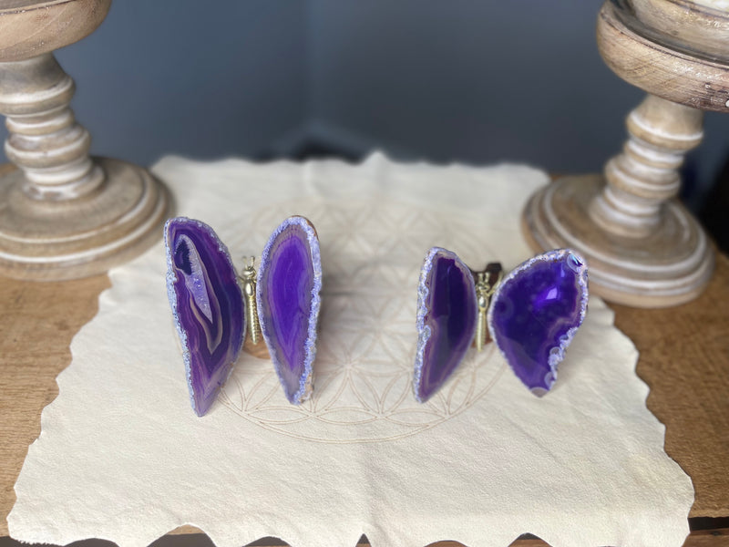 Purple or Blue Agate Butterfly Carving, Totem / Spirit Animal FB3355 🦋🦋