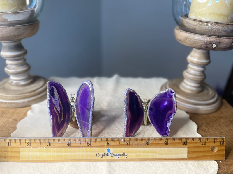 Purple or Blue Agate Butterfly Carving, Totem / Spirit Animal FB3355 🦋🦋