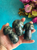 Bloodstone Mini Mushrooms FB2170 🍄