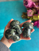 Bloodstone Mini Mushrooms FB2170 🍄