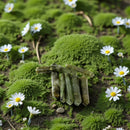 Labradorite Double Terminated Flat Sided Points FB2927 🍃