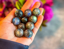 Labradorite Mini Spheres from Madagascar, intuition FB1429 🌕
