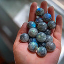 Labradorite Mini Spheres from Madagascar, intuition FB1429 🌕