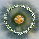 Laser Etched Wood Round Incense Holder - Moon Goddess Rainbow Moonstone Inlay FB2402 🌟