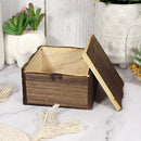 Magickal Crystal, Treasure, Trinket, Potpourri Box FB3356 🦚🦚