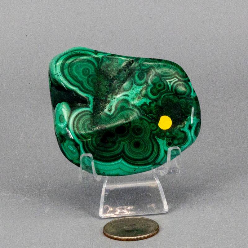 Malachite Freeform Polished Premium Pieces 💚 CD-10395