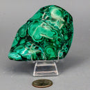 Malachite Freeform Polished Premium Pieces 💚 CD-10395