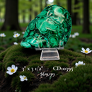 Malachite Freeform Polished Premium Pieces 💚 CD-10395