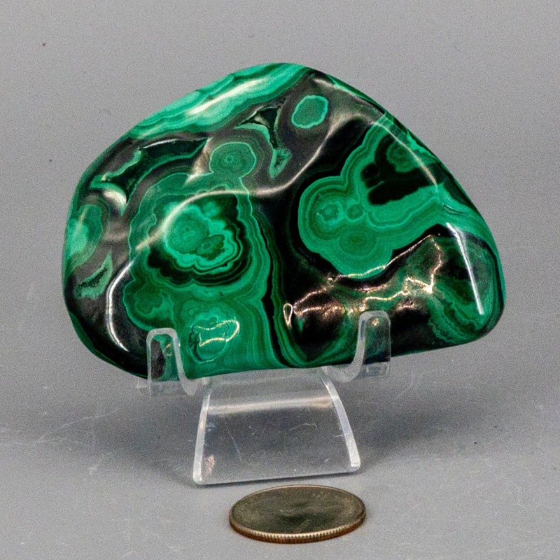 Malachite Freeform Polished Premium Pieces 💚 CD-10395