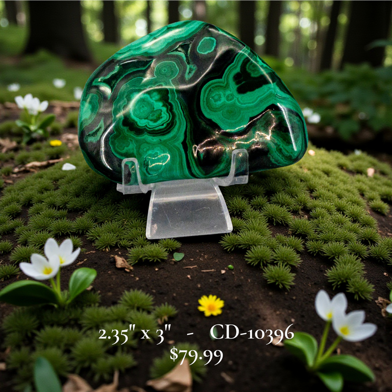 Malachite Freeform Polished Premium Pieces 💚 CD-10395