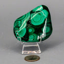 Malachite Freeform Polished Premium Pieces 💚 CD-10395