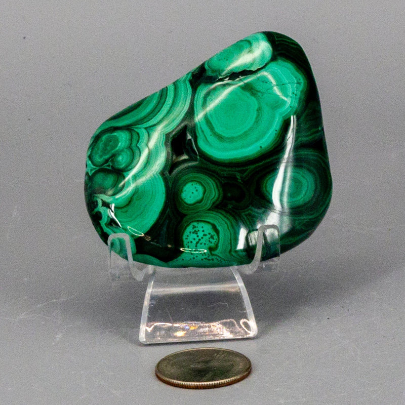 Malachite Freeform Polished Premium Pieces 💚 CD-10395