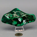 Malachite Freeform Polished Premium Pieces 💚 CD-10395