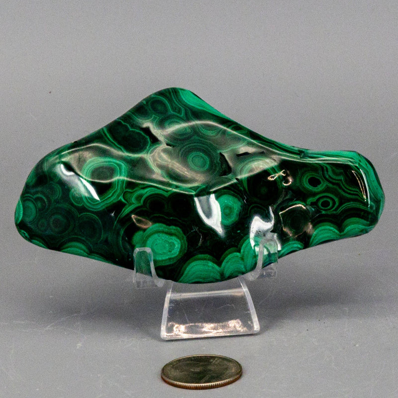 Malachite Freeform Polished Premium Pieces 💚 CD-10395