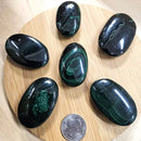 Malachite Palm Stone FB3031 🪷