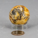 Crazy Lace Agate from Mexico Sphere 40mm 🐝🌕🐝 CD-10232
