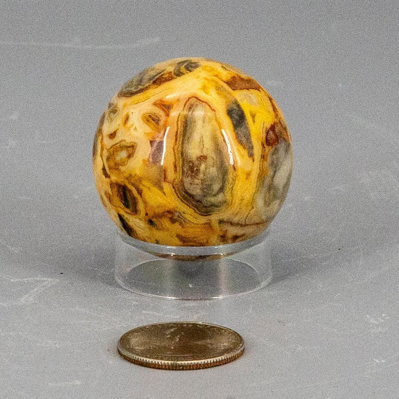 Crazy Lace Agate from Mexico Sphere 40mm 🐝🌕🐝 CD-10232