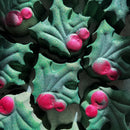 Mistletoe Muse Hibiscus Honey BlendFB2217 🌲