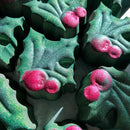 Mistletoe Muse Hibiscus Honey BlendFB2217 🌲