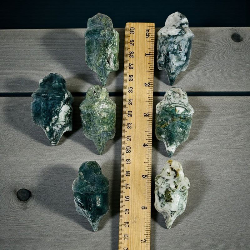 Moss Agate Triceratops FB2425 🦕