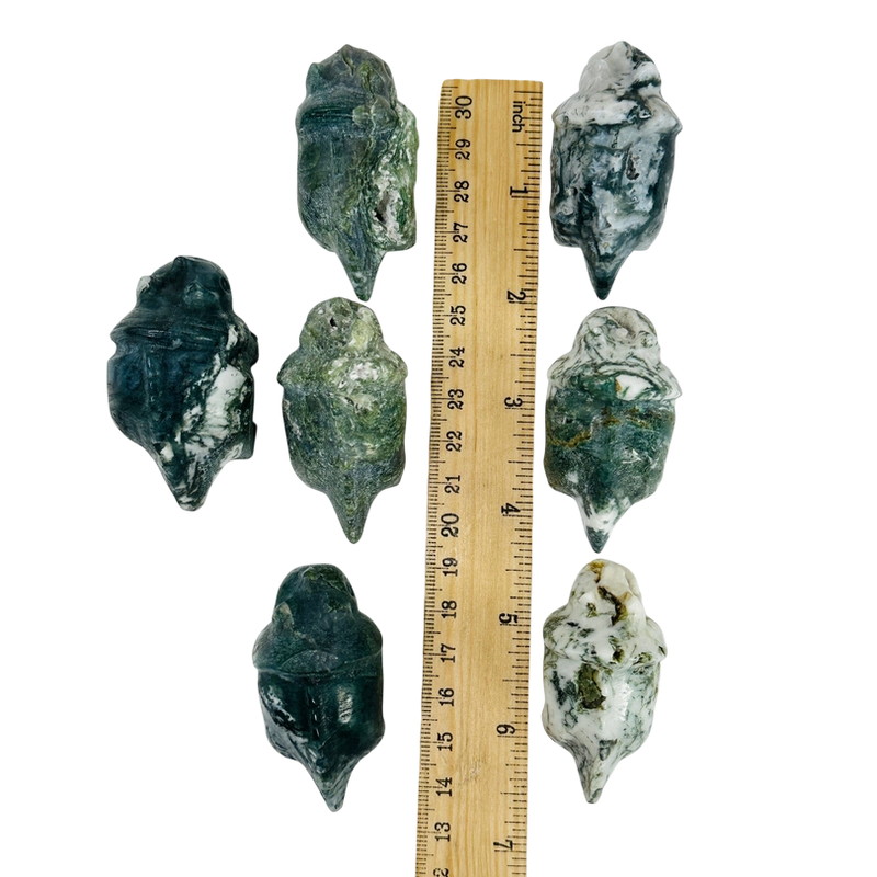 Moss Agate Triceratops FB2425 🦕