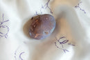 Ocean Jasper Flat Oval Hand Pebbles for joy, happiness and contentment FB1359 🧡