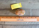 Ocean Jasper Flat Oval Hand Pebbles for joy, happiness and contentment FB1359 🧡
