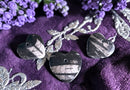 Orthocerus Heart Cabochon FB2509 🌻🌸🌻
