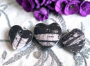 Orthocerus Heart Cabochon FB2509 🌻🌸🌻
