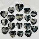 Orthocerus Heart Cabochon FB2509