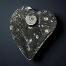 Orthoceras Swirly Heart Shaped Carved Bowl / Dish FB1482 🌼